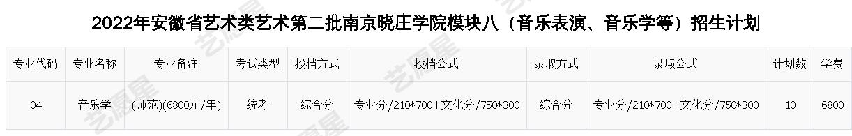 2022年安徽省艺术类艺术第二批南京晓庄学院模块八（音乐表演、音乐学等）招生计划